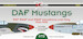 DAF Mustangs RAF, RAAF and SAAF Squadrons over Italy 1944-1945 (17 camo schemes) DK72099