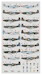 DAF Mustangs RAF, RAAF and SAAF Squadrons over Italy  1944-1945 (17 camo schemes)  DK72099