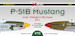 P51B Mustang over Western Europe , Pt.1 (10 schemes) DK72142