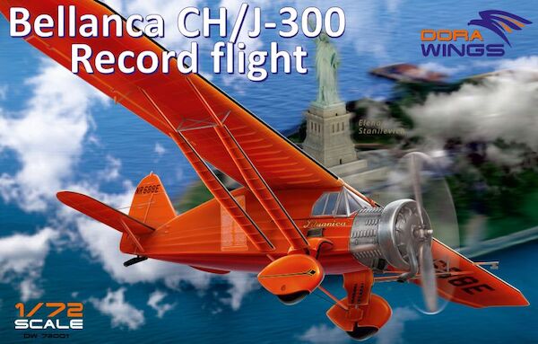 Bellanca CH300 Lituanica DW72001