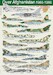 Over Afghanistan 1980-1990 DPC48003