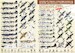 Forgotten Operations Operation Bodenplatte, January 1945 (Upgraded) DPC72003U