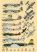 Forgotten Operations - Meridian (1945)  DPC72023