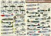 Bratislava- Brno Operation 25-3-1945 to -5-5 1945 DPC72054