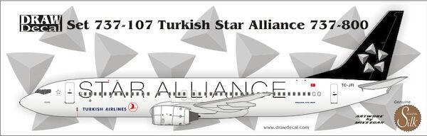 Boeing 737-800 (Turkish "Star Alliance") 44-737-107