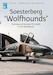 Soesterberg "Wolfhounds", the history of the 32nd TFS USAFE in The Netherlands (RESTOCK) DF-47