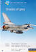 Goodbye F16 in Late Lo-Viz schemes DD-F16-Lo