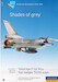 Goodbye F16 in Late Lo-Viz schemes DD-F16-Lo
