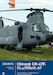 Boeing Vertol CH47F Chinook (KLU/ RNethAF) DD48076