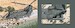 CH47 Chinook, Action,  Details and crew  8435568357273