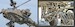 AH-64D/E Apache - Hunter of the Battlefield (Expected October 2026)  9788419335876