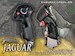 Jaguar Control stick Jaguar-stick
