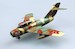 Mig 15 Fagot CCCP