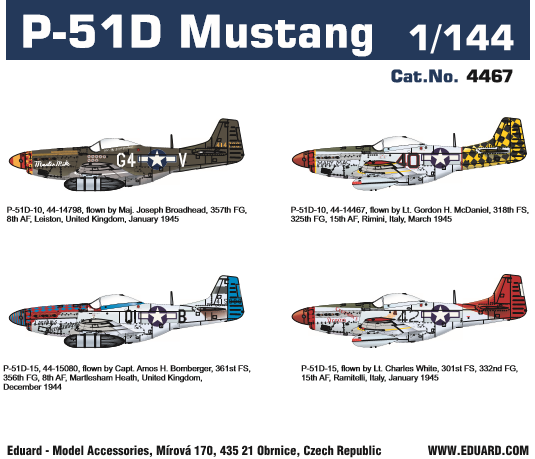 P51D Mustang (1 kit included) 4467