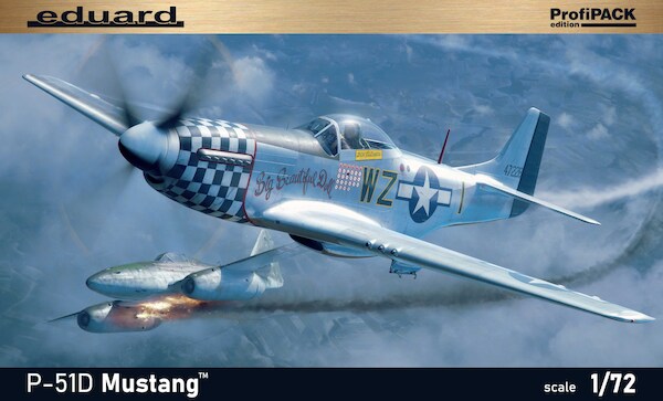 P51D-10 Mustang (BACK IN STOCK) 70173