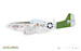 P51D-10  Mustang (BACK IN STOCK)  70173