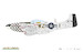 P51D-10  Mustang (BACK IN STOCK)  70173