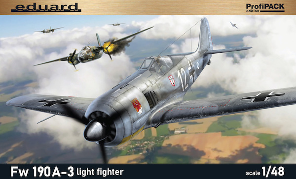Focke Wulf FW190A-3 Light Fighter 82141
