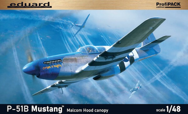 P51B Mustang with Malcolm Hood Canopy 82176