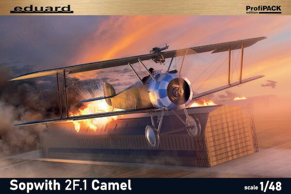 Sopwith 2F1 Camel 82173