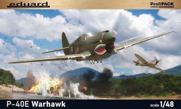 Curtiss P40E Warhawk 82241