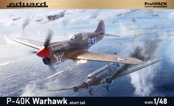 Curtiss P40K Warhawk Profipack  82243