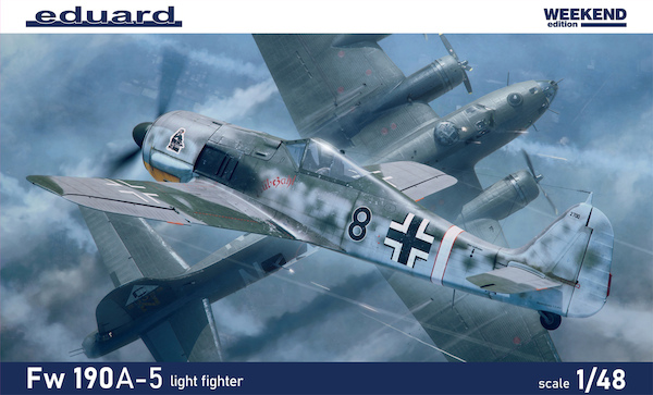 Focke Wulf FW190A-5 'Light Fighter"  84118