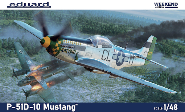 P51D-10 Mustang  84184