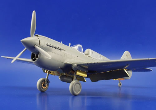 Detailset Curtiss P40E Warhawk (Hasegawa) E49-314