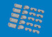 MG15 Magazines & Case catchers E632203