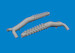 Douglas Boston MKIII  Porcupine Flame Dampers (Hong Kong Models) E6481128