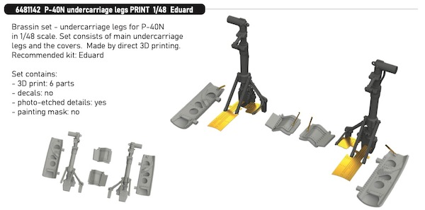 Curtiss P40N Warhawk Undercaariage Legs (Eduard) E6481142
