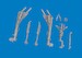 F35A Lightning II Undercarriage Legs set (Tamiya)  E6481219
