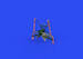Grumman FM2 Wildcat Undercarriage Legs - Bronze- (Eduard) E648886