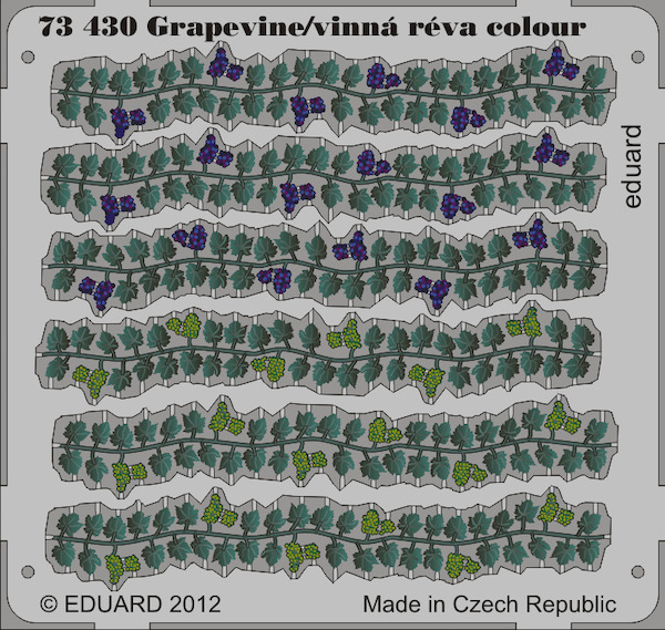 grapevine  E73-430