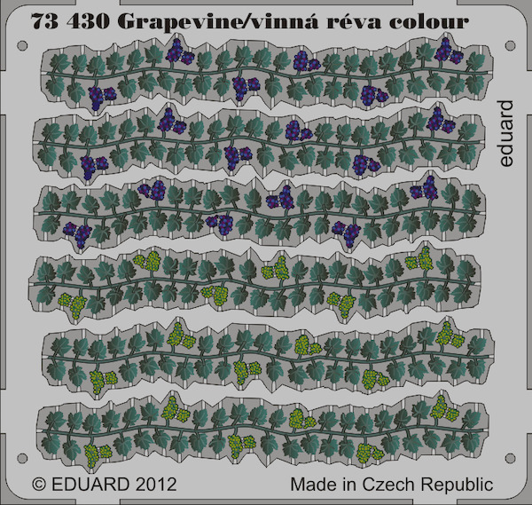 grapevine E73-430