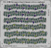 grapevine E73-430