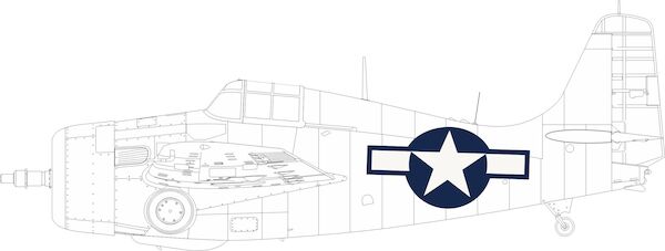 Mask FM2 Wildcat US National Insignia  (Eduard)  EX971