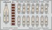 Detailset B26B Marauder Seatbelts (ICM) FED1455