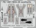 Detailset Mikoyan MiG35 Fulcrum Seatbelts (Hobby Boss) FE1491