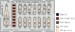 Detailset Martin B26F Marauder Seatbelts (ICM) FE1553