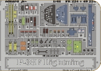 Detailset P38F Lightning (Hasegawa)  FE224