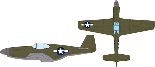 Mask P51B Mustang National Insignia (Eduard)  jx353