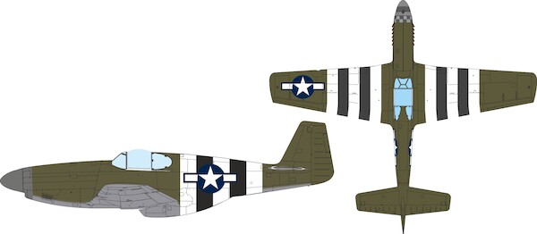 Mask P51B Mustang National; Insignia and D Day Stripes (Eduard)  jx354