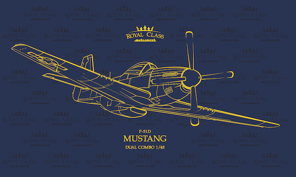 North-American P-51D-5 Mustang Dual Combo R0020
