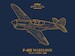 Curtiss P40E Warhawk  Dual combo R0023