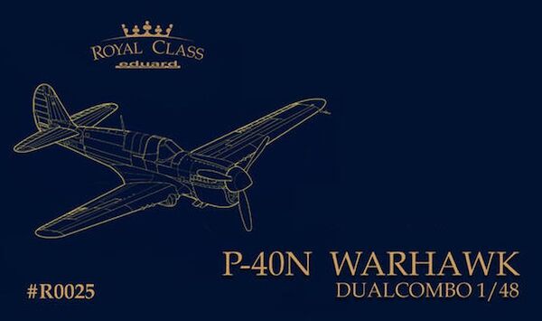 Curtiss P40N Warhawk Dual combo (Expected August 2025) R0025