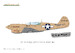 Curtiss P40N Warhawk Dual combo (LAST STOCKS) R0025