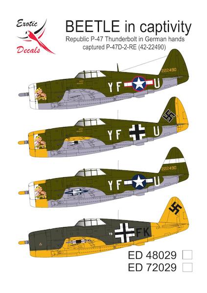 Beetle in Captivity, Republic P47D-2 Thunderbolt (42-22490) in German hands  ed48029