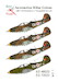 Aeronáutica Militar Cobras - Bell P-39 Airacobra in Portuguese service ed72022